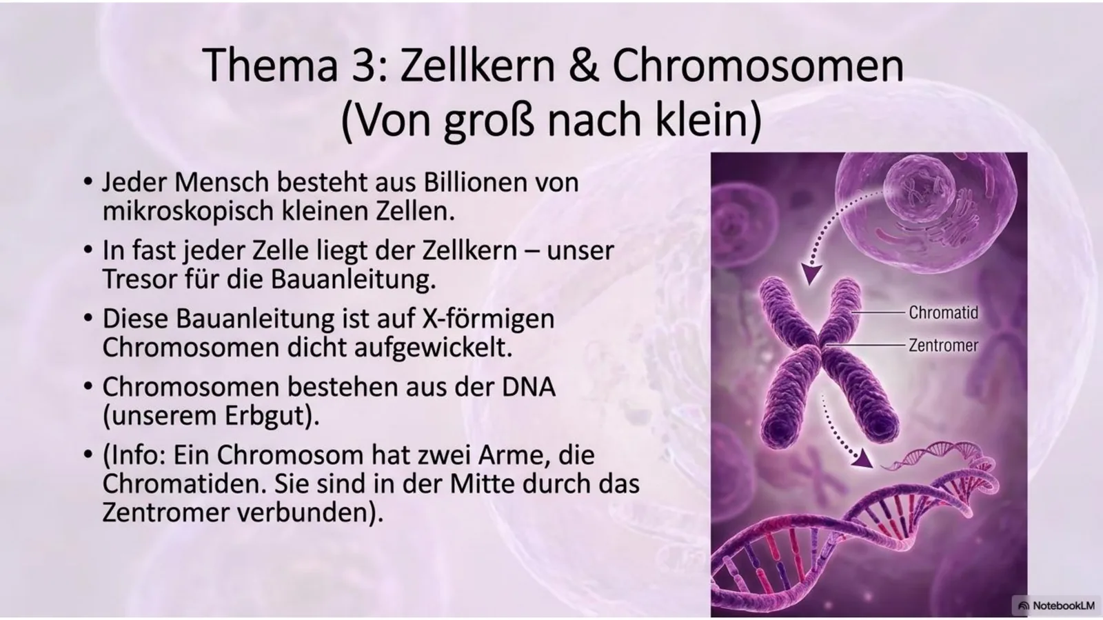 Chromosom-Abbildung zur Beschriftung